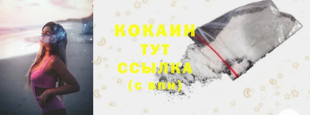 гидропоника Гусь-Хрустальный
