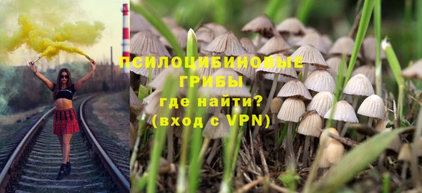 гидропоника Гусь-Хрустальный
