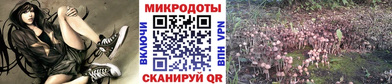 купить наркоту  Дудинка  Галлюциногенные грибы ЛСД 