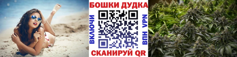 Бошки Шишки сатива Дудинка
